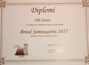 Breed Seminaari Diplomi Oili Sainio